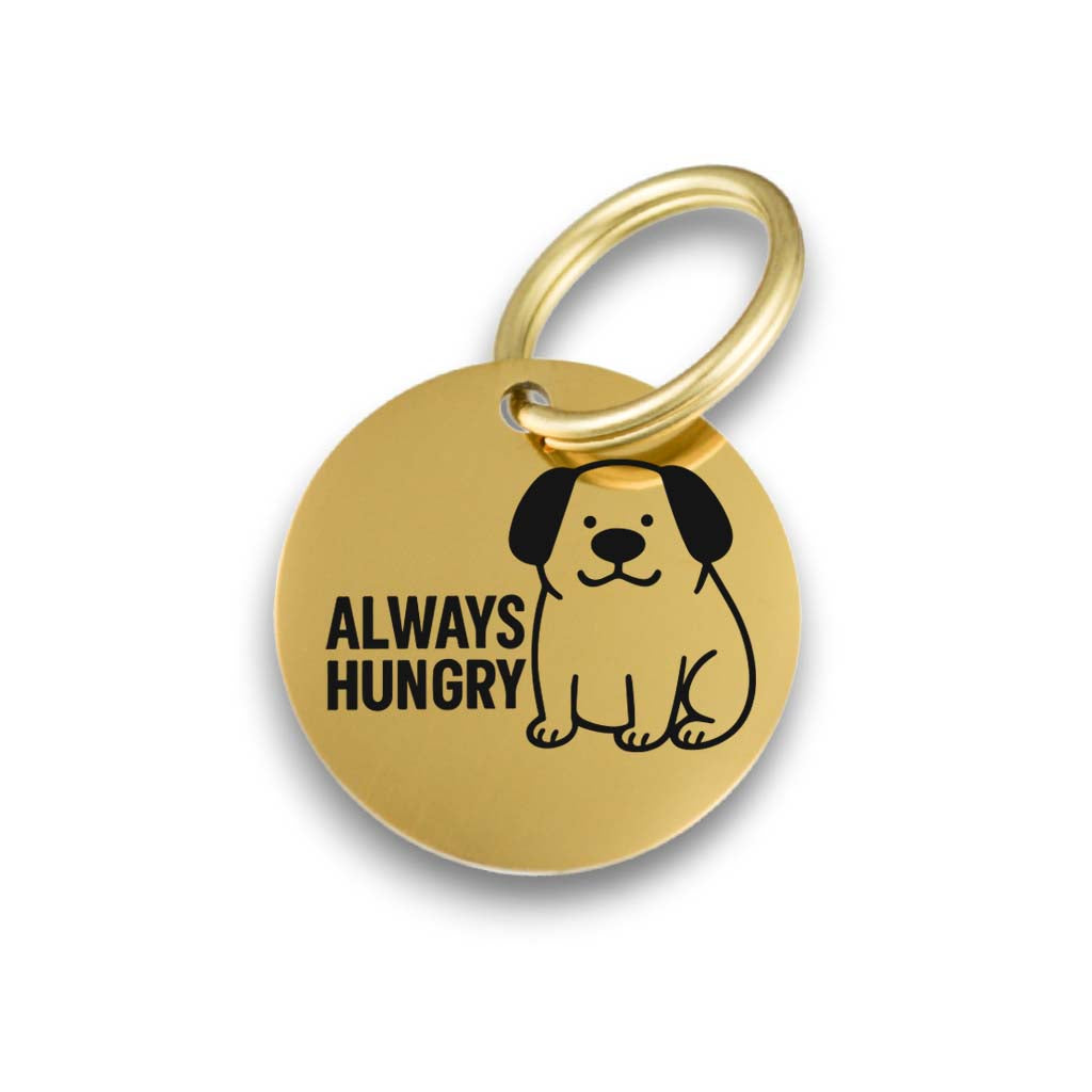 Funny gold pet ID tag for dogs and cats with the engraved text 'Always Hungry' - Tag4MyPet
