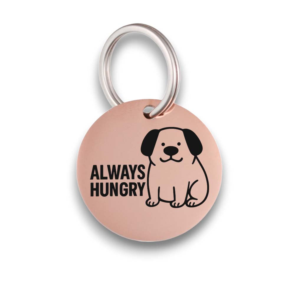 Funny rose gold pet ID tag for dogs and cats with the engraved text 'Always Hungry' - Tag4MyPet