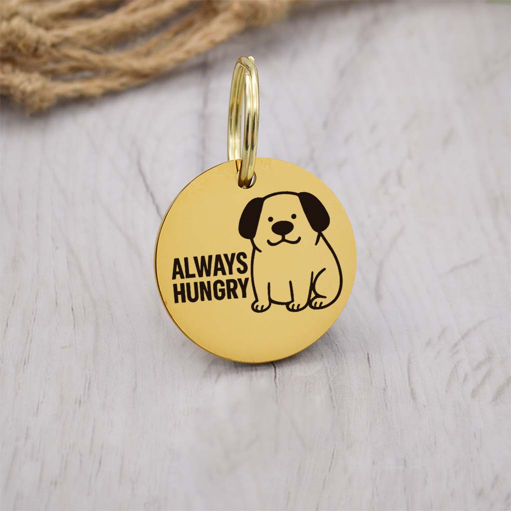 Funny gold pet ID tag with 'Always Hungry' engraved — personalized dog or cat tag for pet safety and identification.