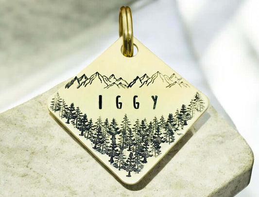 Iggy Tag Gold