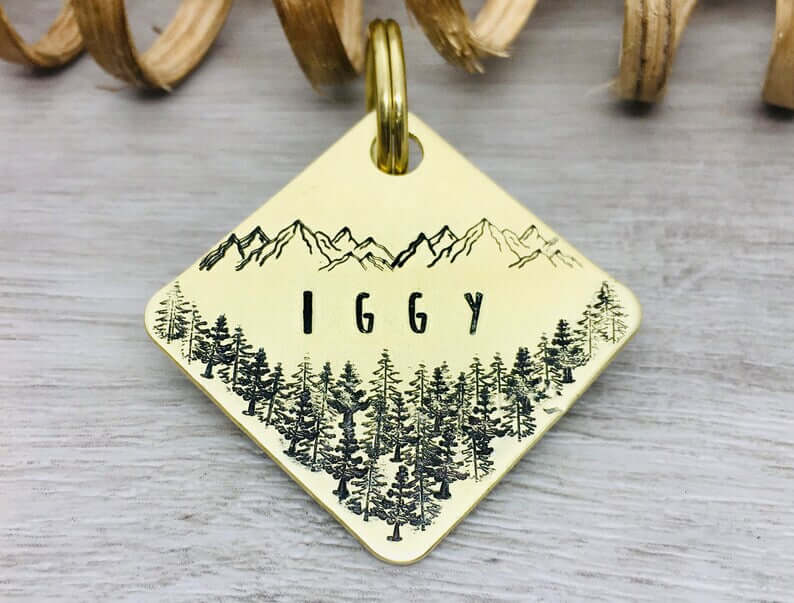 Iggy Tag 