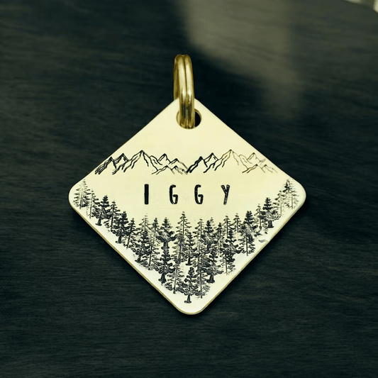 Iggy Tag Square Gold