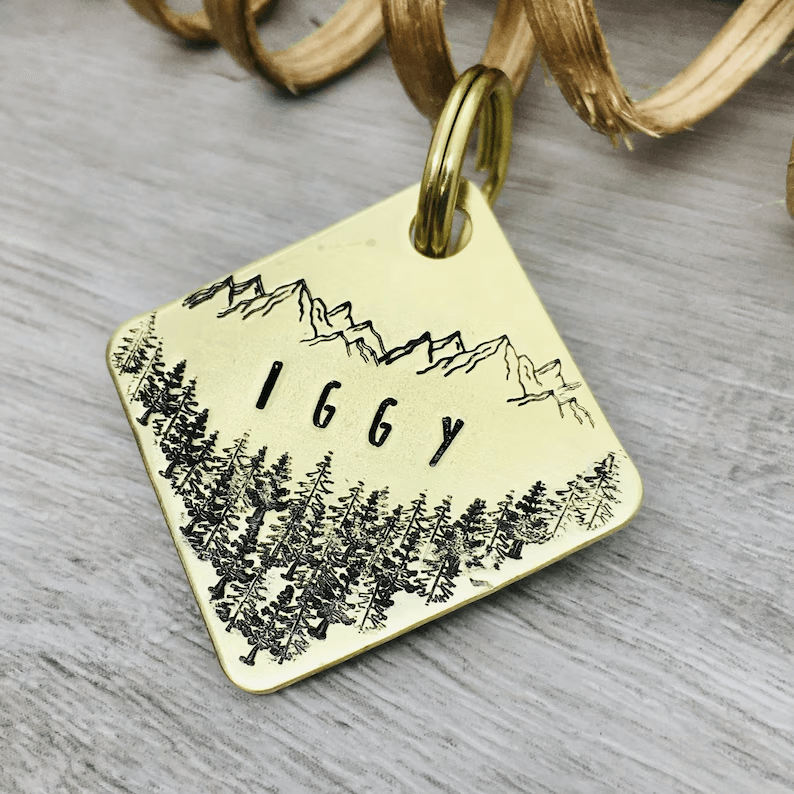 Iggy Tag Square