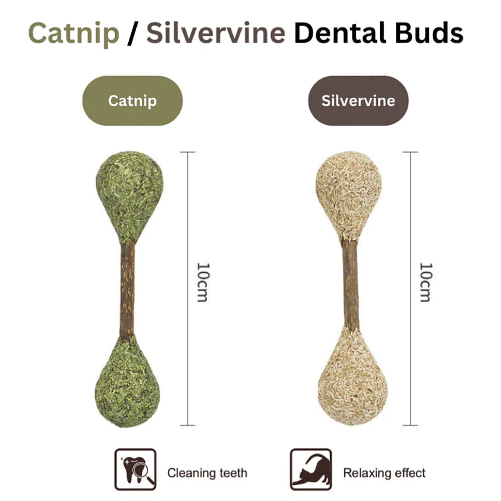 Dental buds made of catnip and silvervine, measuring approximately 10cm.