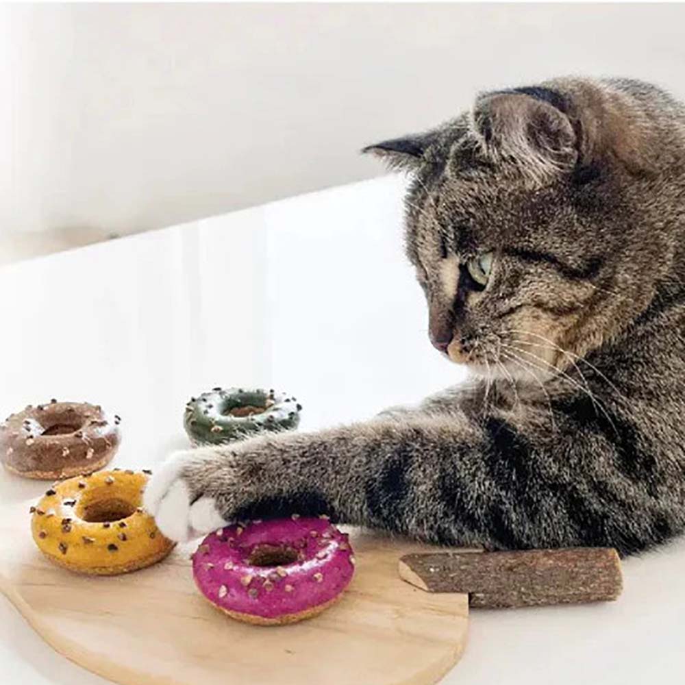 A striped cat playing with flavored donuts.