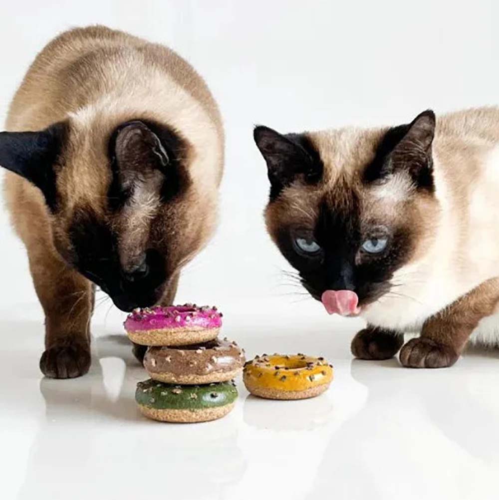 Siamese cat playing with cat-flavored donuts.