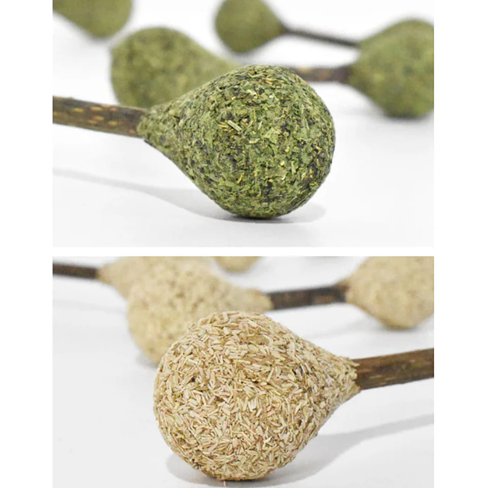 Close-up view of dental buds of catnip and silvervine highlighting the product details.