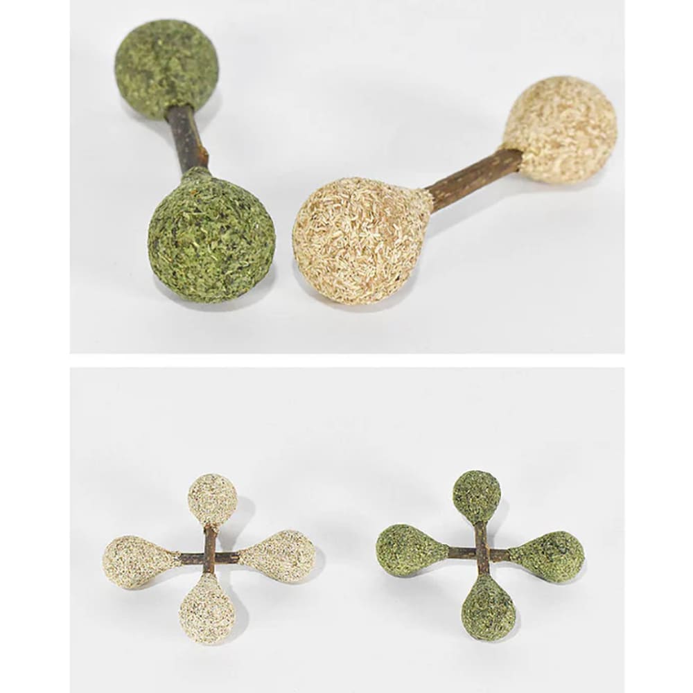 Details of dental buds of silvervine and catnip