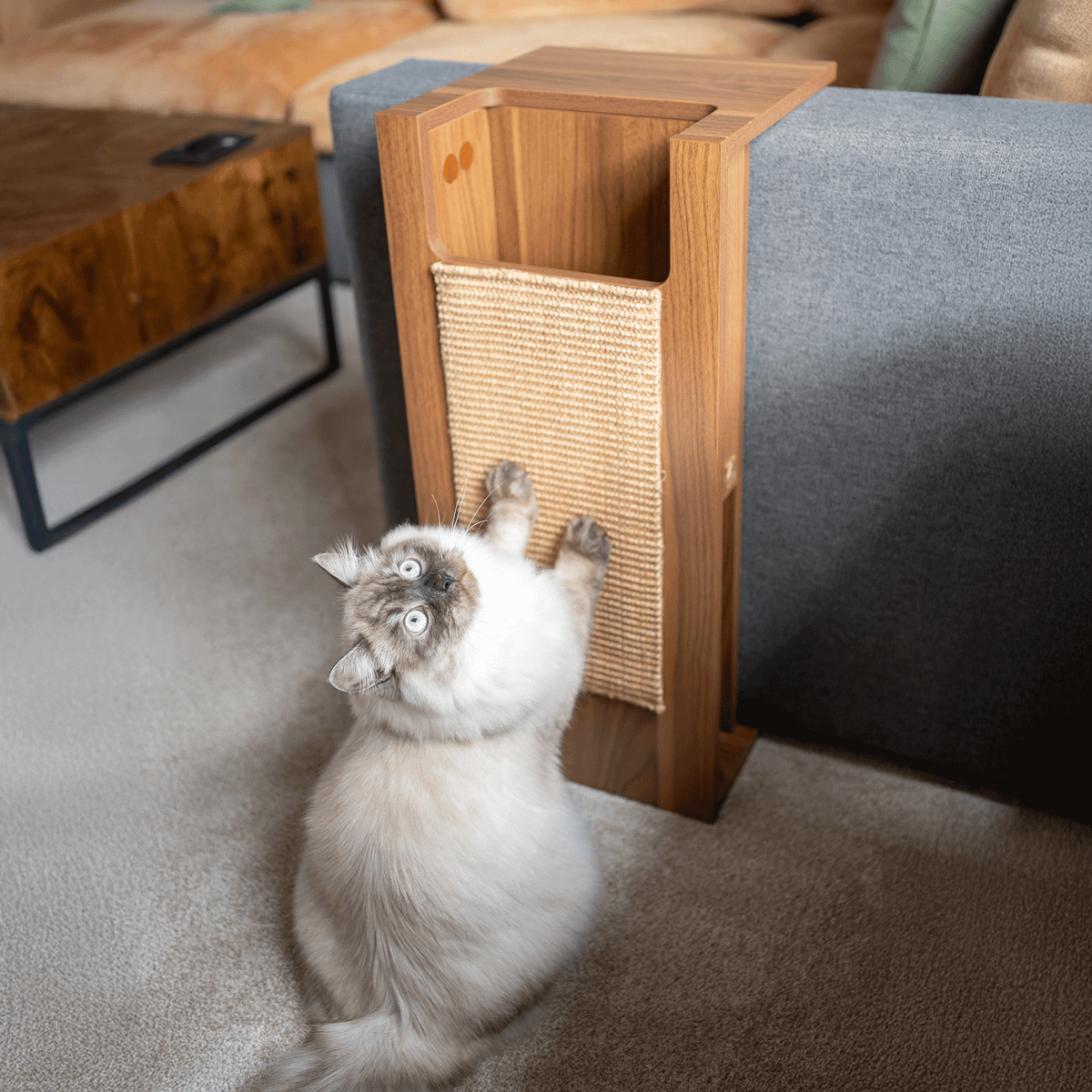 jewl nesting table + scratcher |  Side table cat scratcher for couch | Tag4MyPet