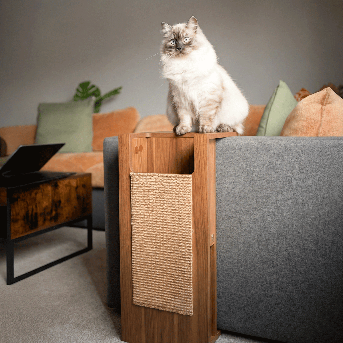 jewl nesting table + scratcher |  Side table cat scratcher for couch | Tag4MyPet