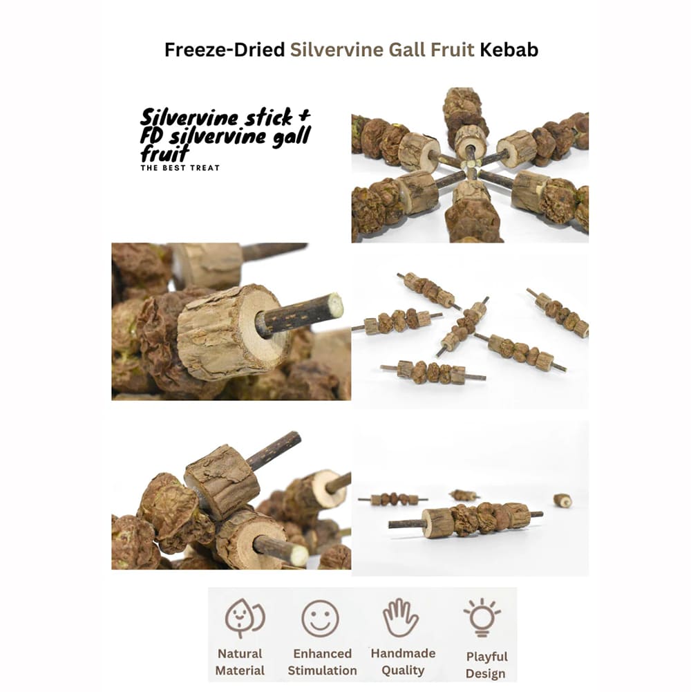 Features of the cat toy kebab made of silvervine, handmade, with natural material, stimulating and interactive design.