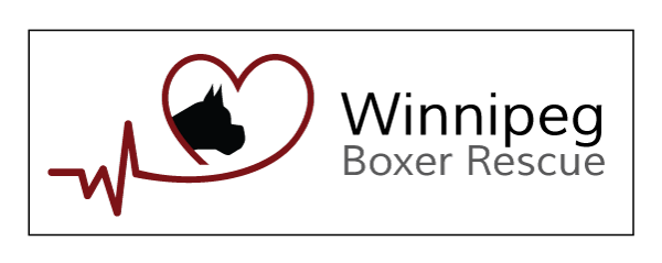Winnipeg Boxer Rescue Logo