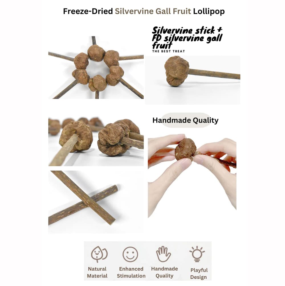 Features of the cat toy lollipop made of silvervine, handmade, with natural material, stimulating and interactive design.