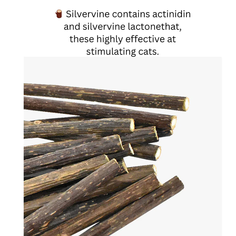 Silvervine Magic Wand