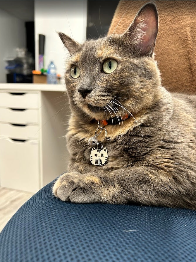 Custom Dog Tag Necklace