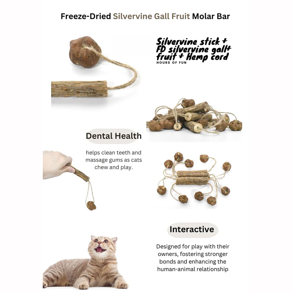 Features of the cat toy molar bar made of silvervine, handmade, with natural material, stimulating and interactive design.