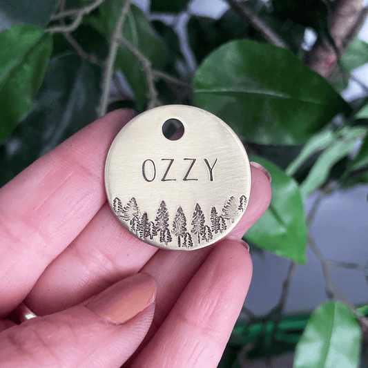 Ozzy Tag Gold Circle 