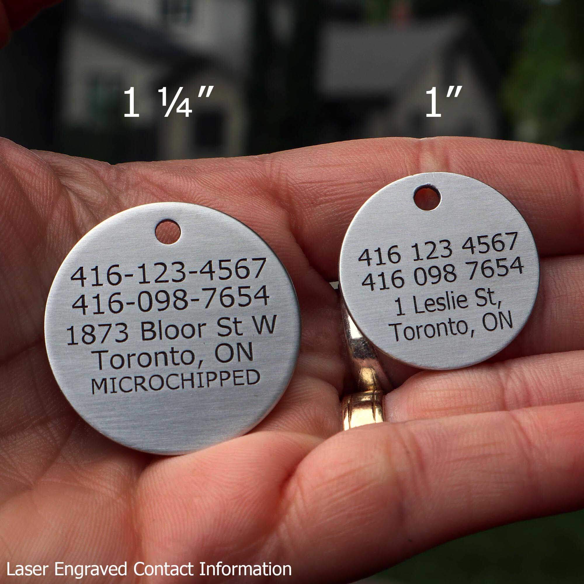 Laser Engraved Pet ID Tag Contact Information Example