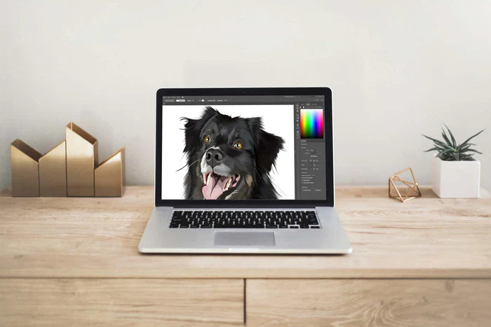 Pet portrait on computer created by a digital artist
