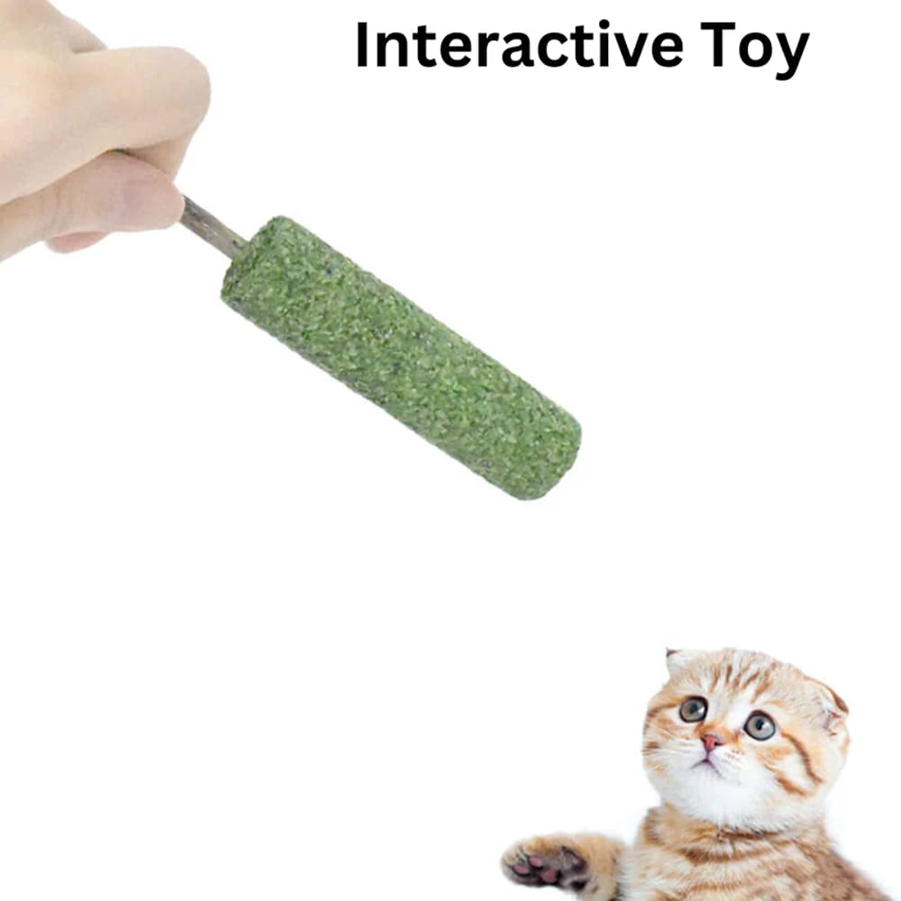A small white cat with brown stripes playing with a toy popsicle made of catnip.