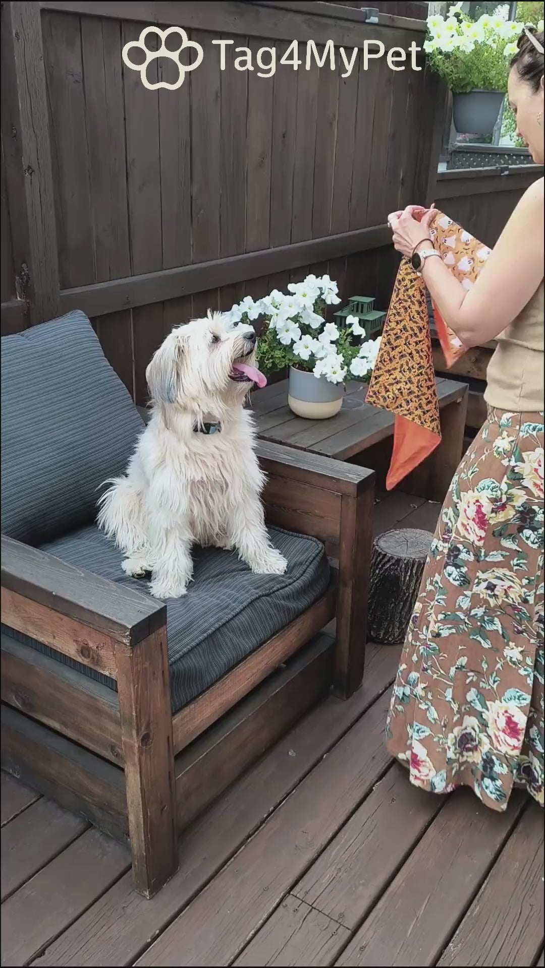 A video showing how to put a dog bandana on your dog