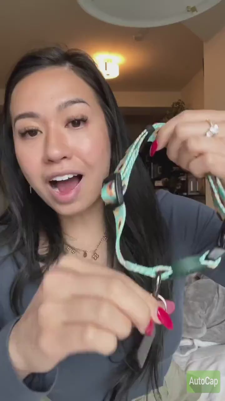 Best Dog Tag Product Review | Tag4MyPet