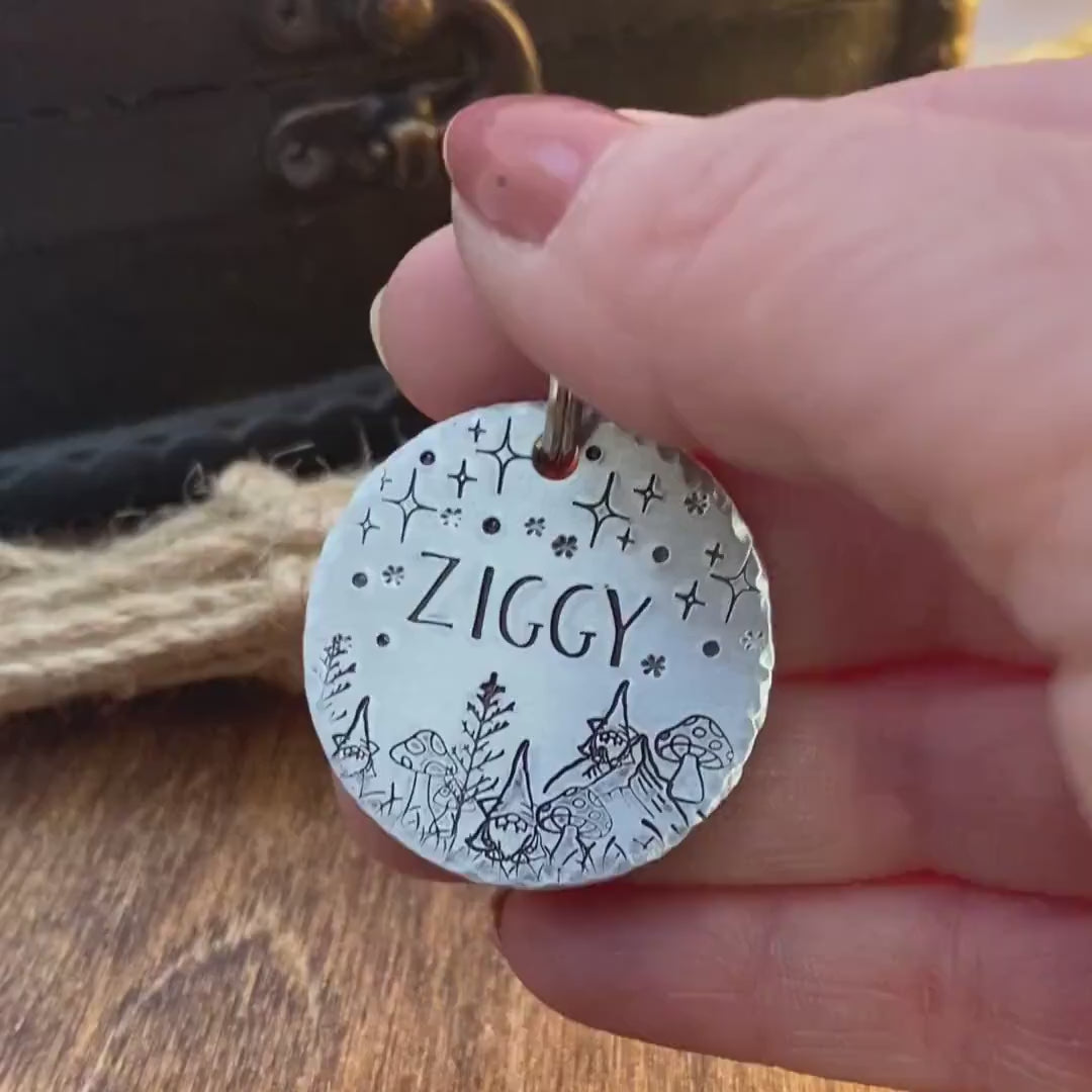 Ziggy Tag Video Silver Circle