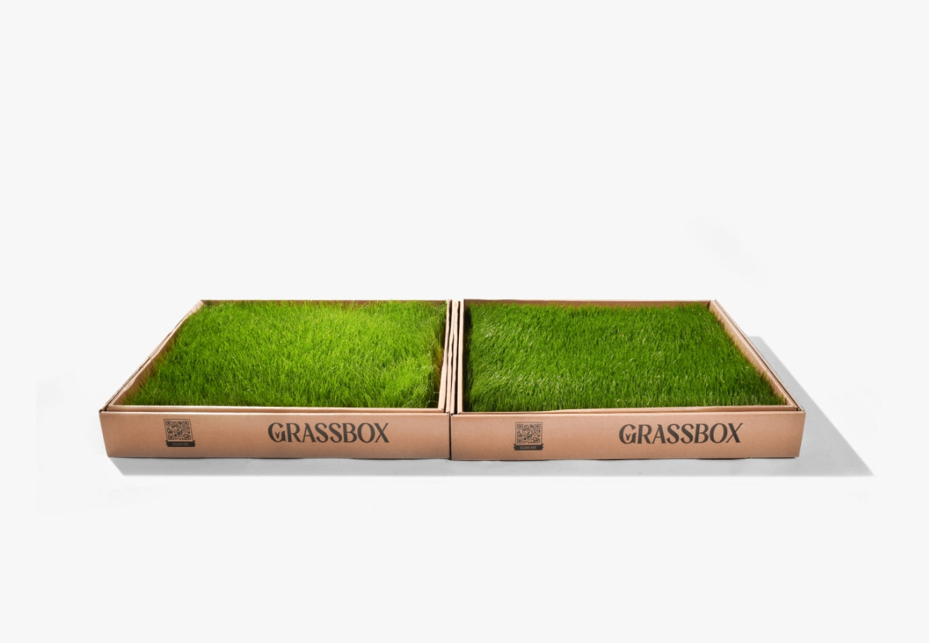 GrassBox – Biodegradable Indoor Pet Grass Patch