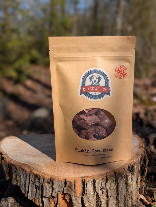 Dog Treat | Tag4MyPet | Ships to USA and Canada