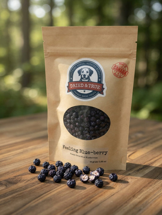 Blueberry Dog Treats | Tag4MyPet | Ships to USA and Canada