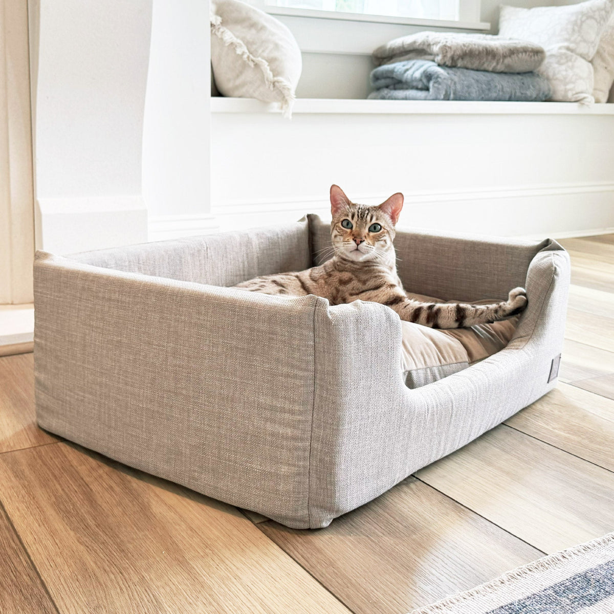 sansa modern pet bed | Modern bed for dogs | Tag4MyPet