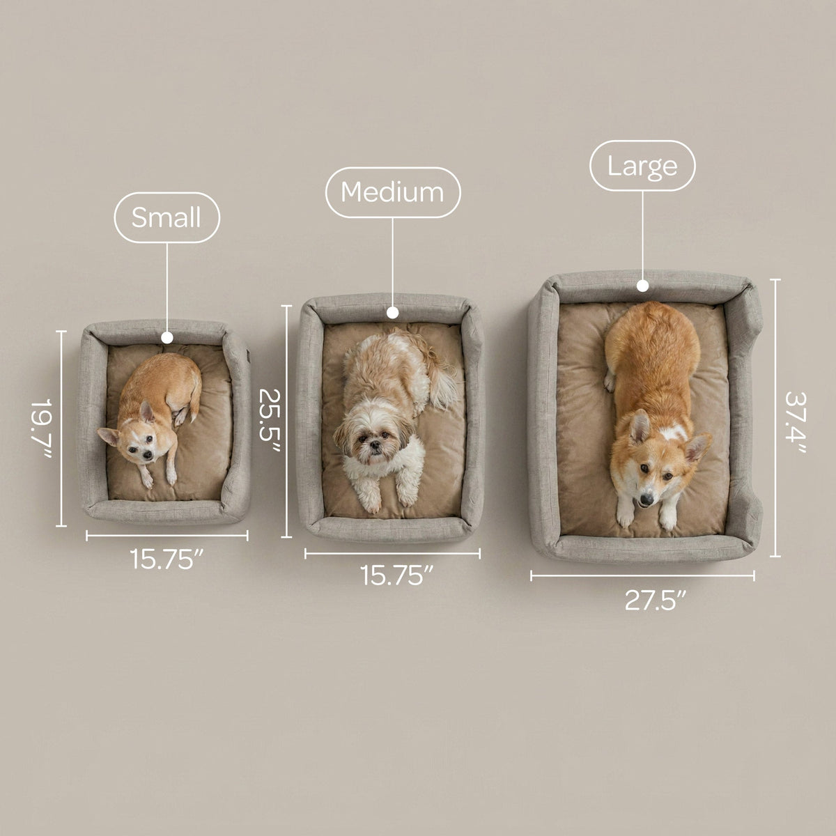 sansa modern pet bed | Modern bed for dogs | Tag4MyPet
