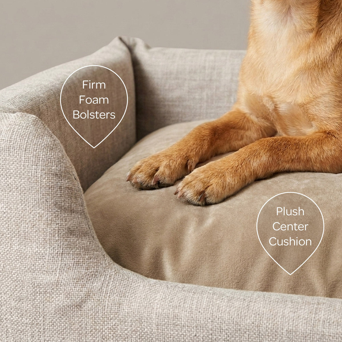 sansa modern pet bed | Modern bed for dogs | Tag4MyPet