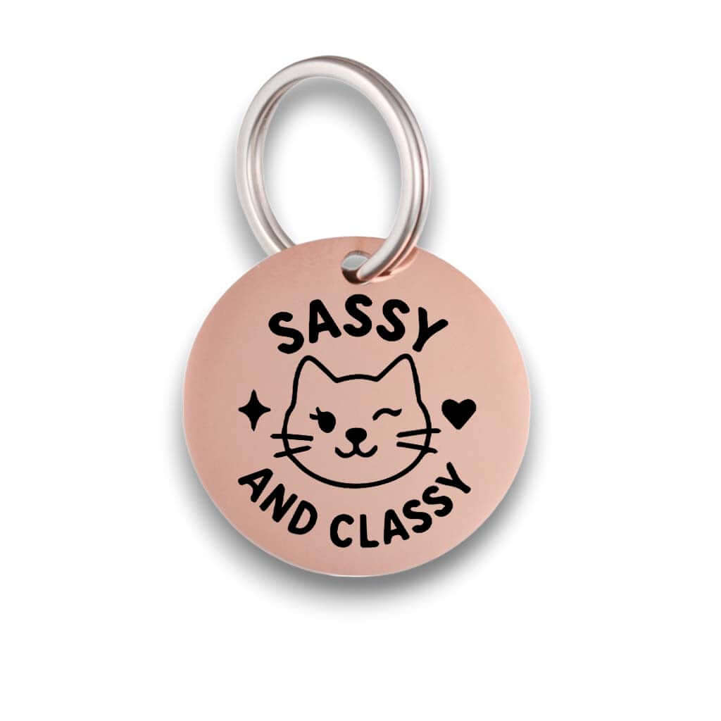 Funny rose gold pet ID tag for dogs and cats with the engraved text 'Sassy And Classy' - Tag4MyPet