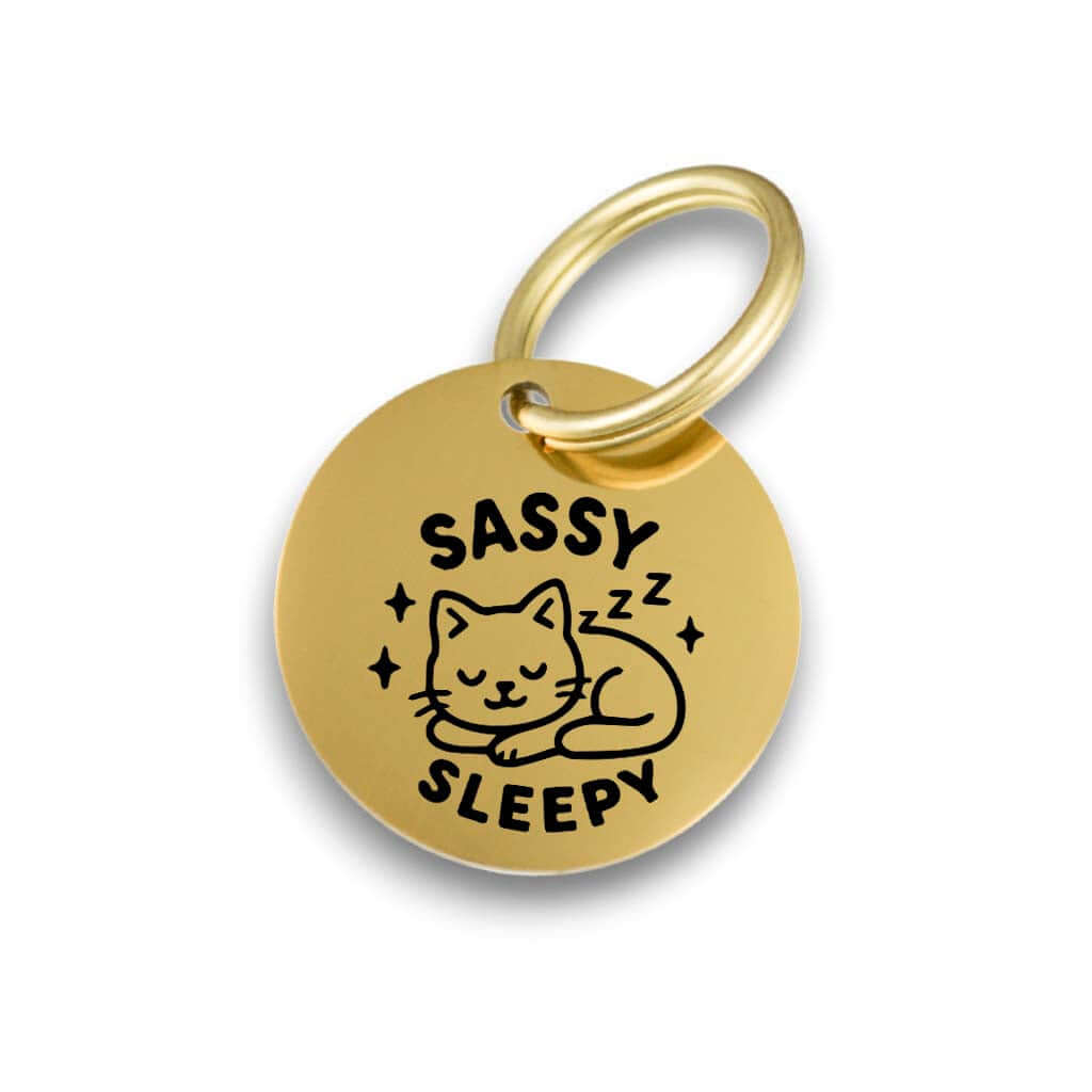 Funny gold pet ID tag for dogs and cats with the engraved text 'Sassy Sleepy' - Tag4MyPet
