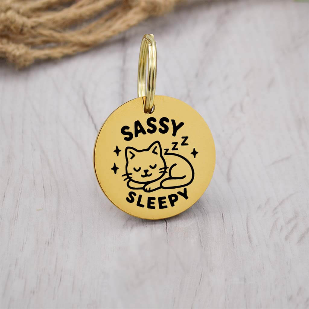 Funny gold pet ID tag with 'Sassy Sleepy' engraved — personalized dog or cat tag for pet safety and identification.