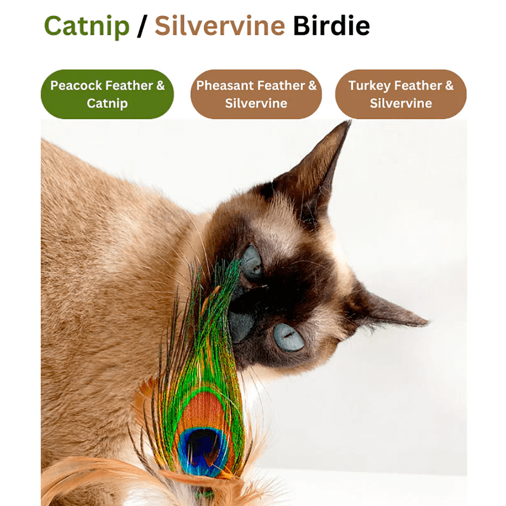 Silvervine - Catnip Birdie