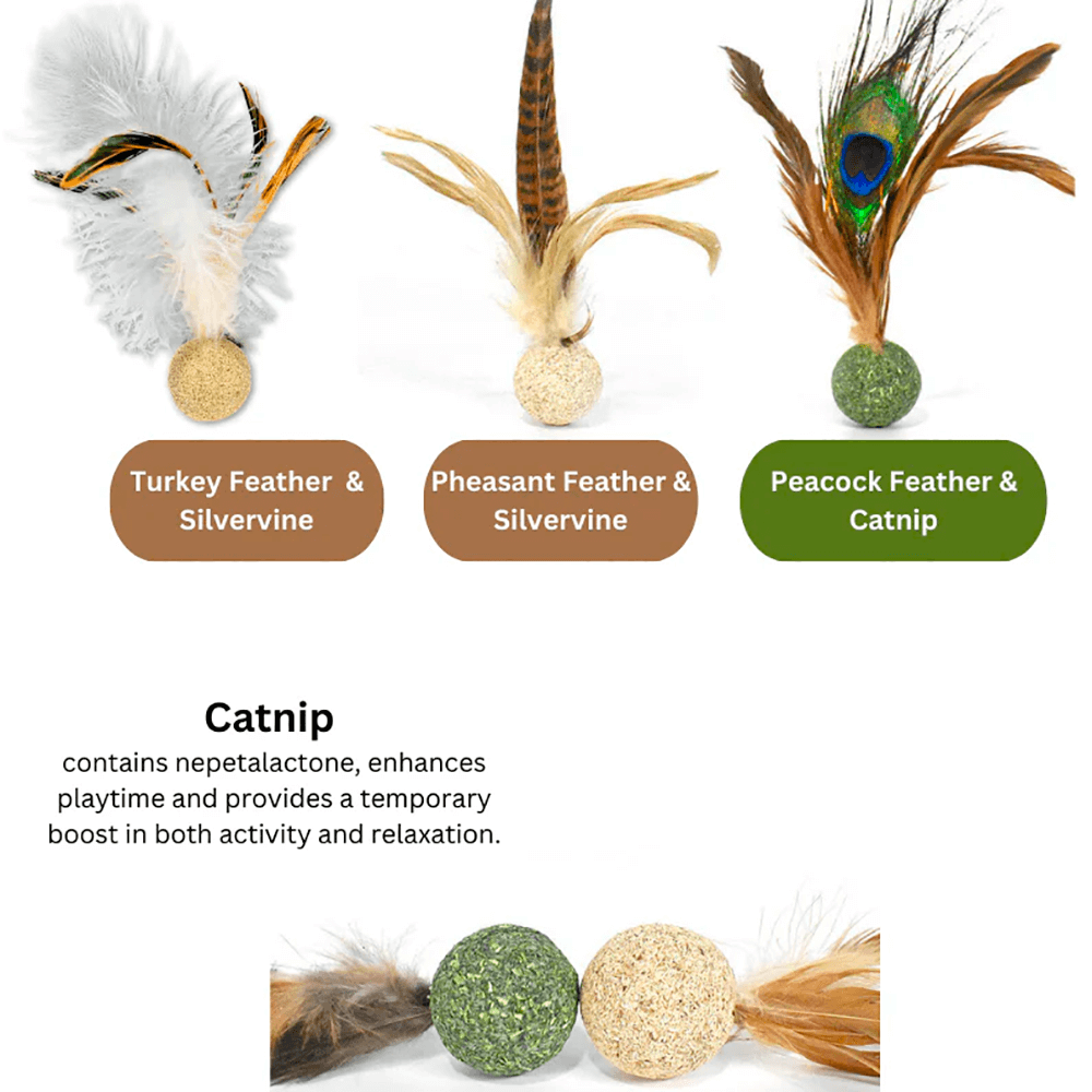 Silvervine - Catnip Birdie