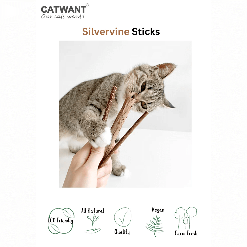 Silvervine Sticks - Natural Chew Toys for Cats