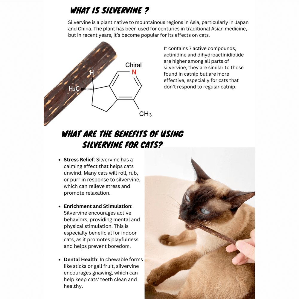 Silvervine Sticks - Natural Chew Toys for Cats