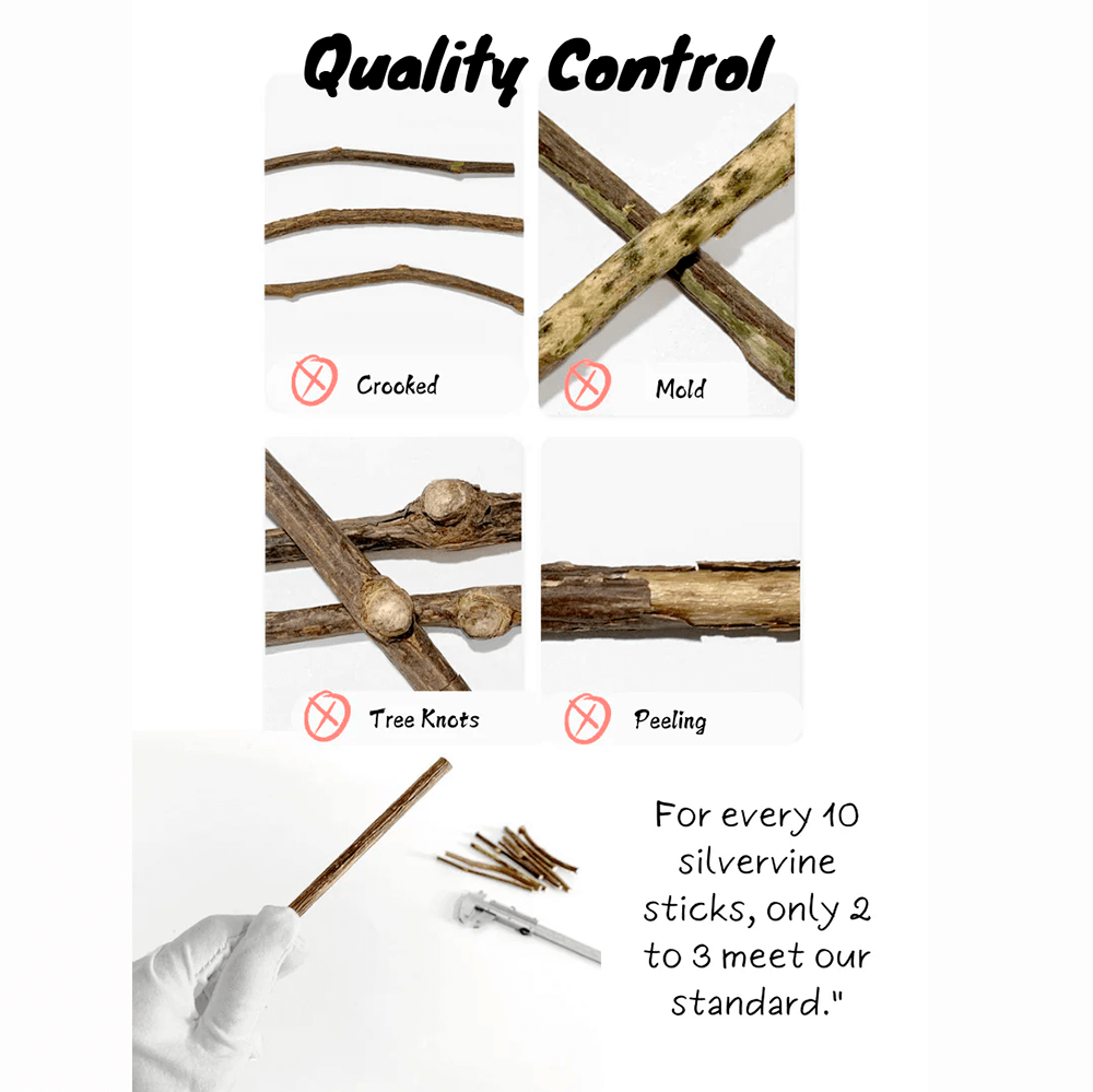 Silvervine Sticks - Natural Chew Toys for Cats