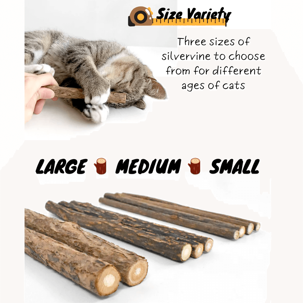 Silvervine Sticks - Natural Chew Toys for Cats