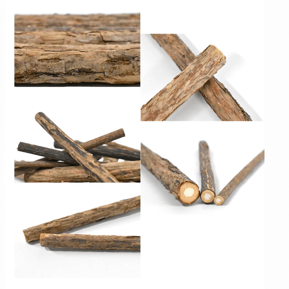 Silvervine Sticks - Natural Chew Toys for Cats