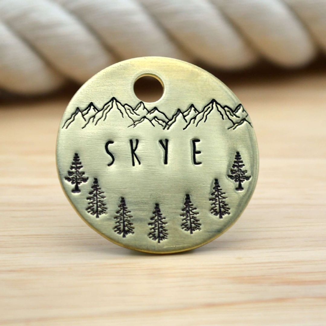 Dog Name Tag hiking design | Tag4MyPet