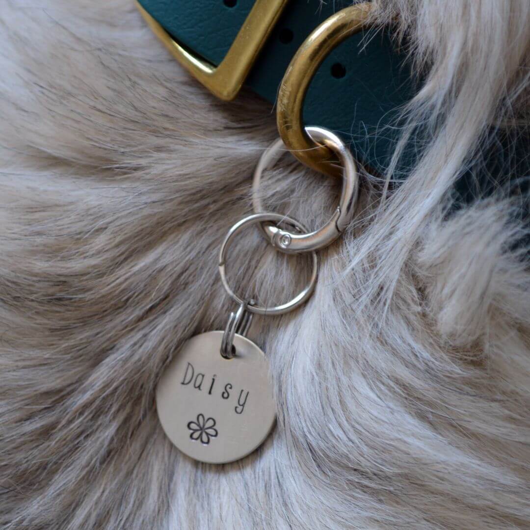 O-Ring And Tag
