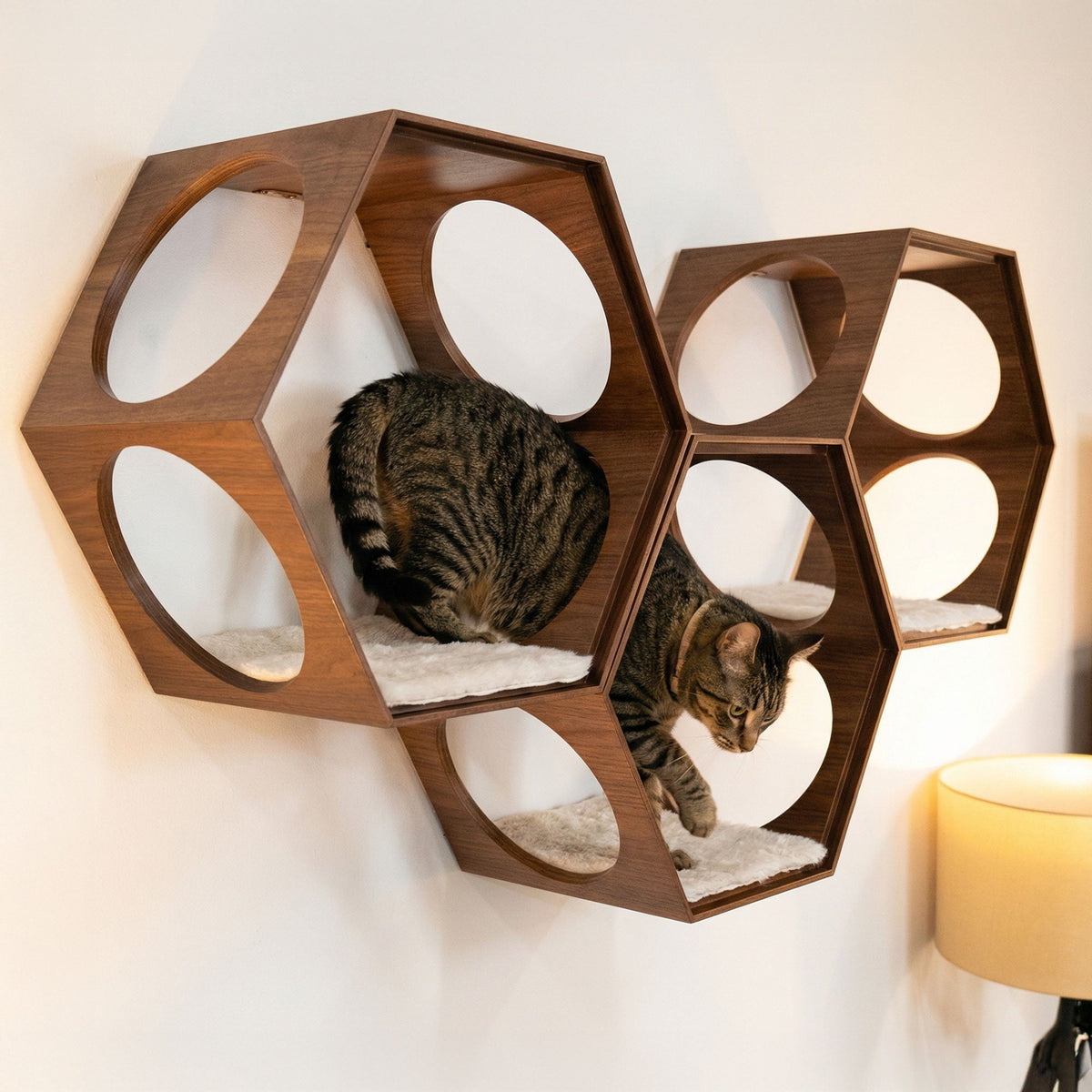 suki cat stool and shelf | Cat Shelf | Tag4MyPet