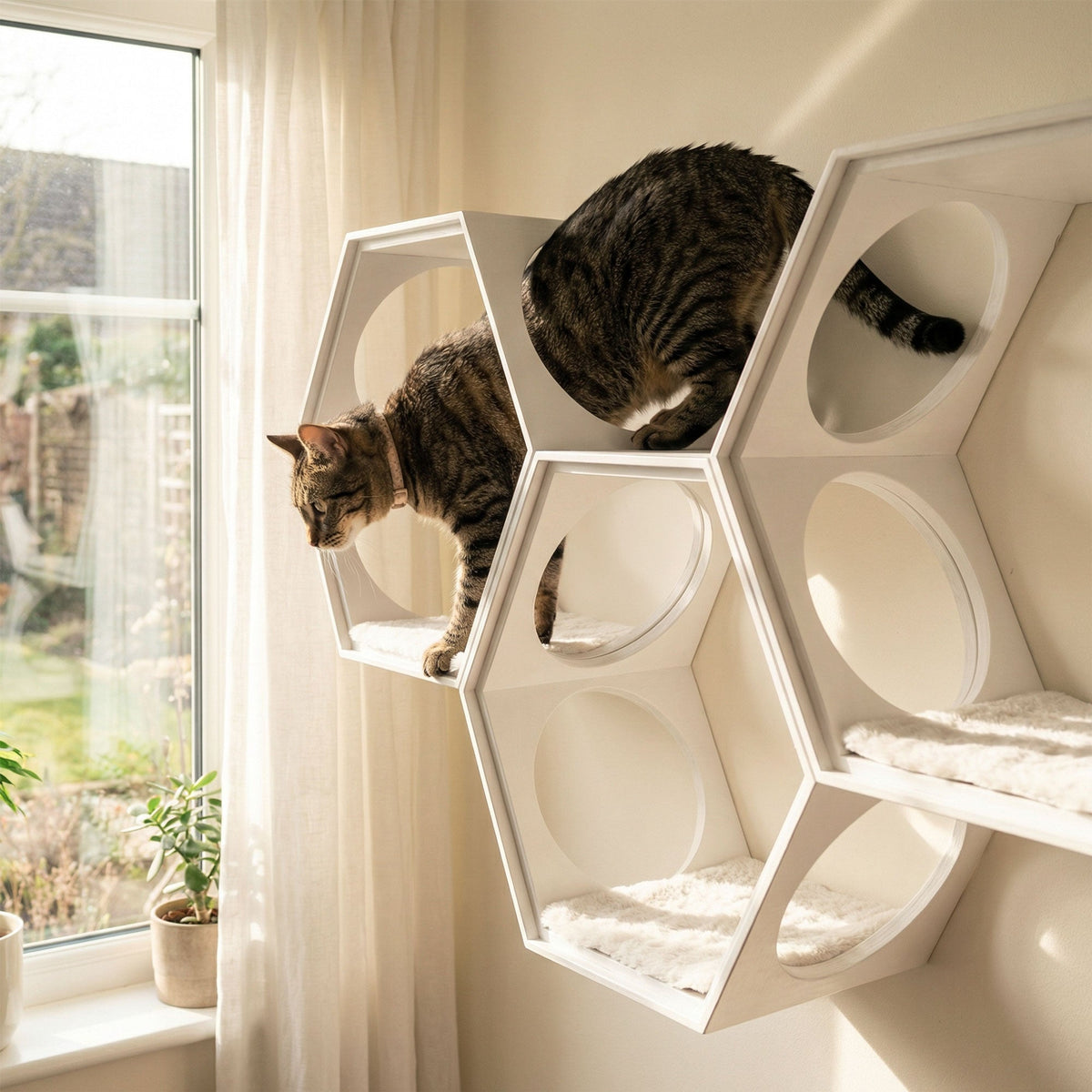 suki cat stool and shelf | Cat Shelf | Tag4MyPet