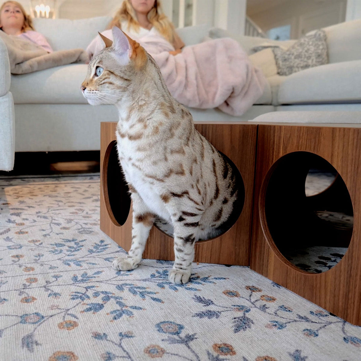 suki cat stool and shelf | Cat Shelf | Tag4MyPet