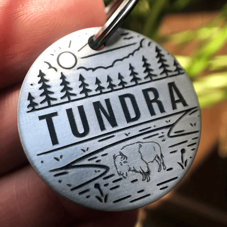 Tundra Tag Silver Circle