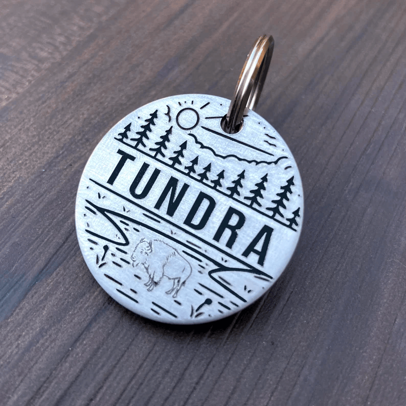 Tundra Tag Silver